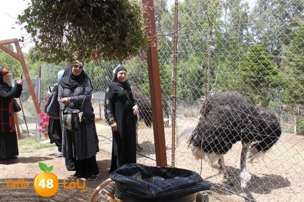 re7la mo2asaasa 0521 (126).JPG